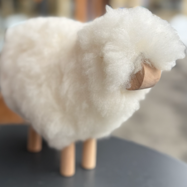 MOUTON MOYEN