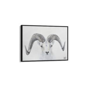 Toile Caisse Américaine Noir Mouflon
