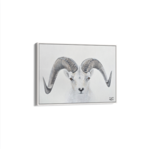 Toile Caisse Américaine Blanc Mouflon