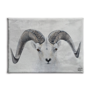 Toile Velours Mouflon