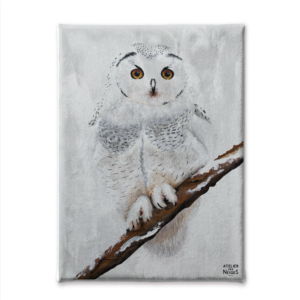 Toile Velours Chouette