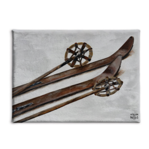 Toile Velours Vieux Skis