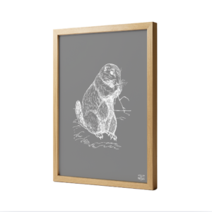 Affiche Encadrée Chêne Marmotte