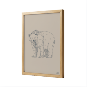 Affiche Encadrée Chêne Ours