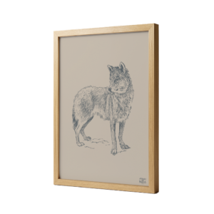 Affiche Encadrée Chêne Loup