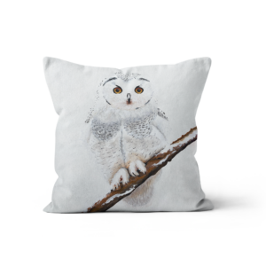Coussin Velours Chouette