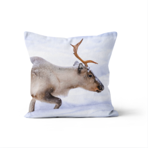 Coussin Renne Profil