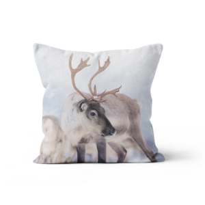 Coussin Renne Face