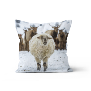 Coussin Mouton