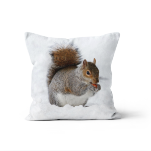 Coussin Ecureuil Neige