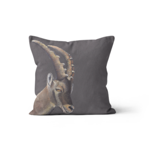 Coussin Velours Bouquetin
