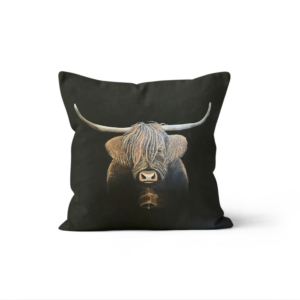 Coussin Velours l'Elégante