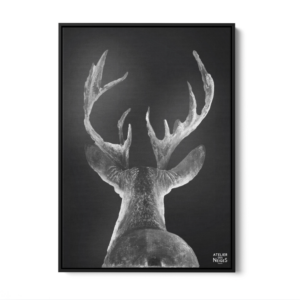 Toile Caisse Américaine Noir Cerf Dos Tradi B&W