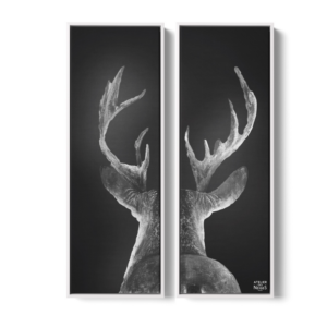 Toile Caisse Américaine Blanc Duo Cerf Dos Tradi B&W