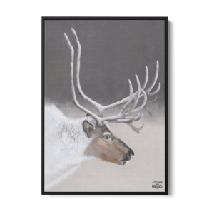 Toile Caisse Américaine Noir Renne Nature