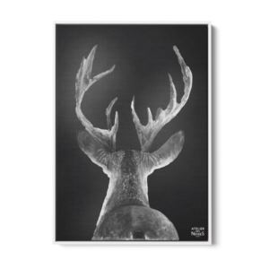 Toile Caisse Américaine Blanc Cerf Dos Tradi B&W