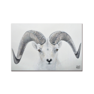 Tapis Vinyle Int/Ext Mouflon