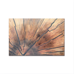 Tapis Vinyle Int/Ext Rondin Bois