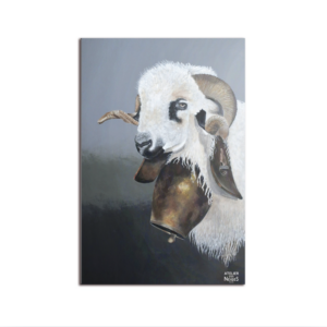 Tapis Vinyle Int/Ext Mouton Devoluy