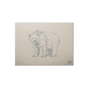 Set De Table Vinyle Ours