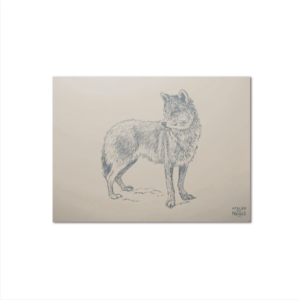 Set De Table Vinyle Loup