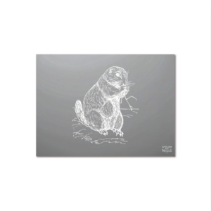 Set De Table Vinyle Marmotte