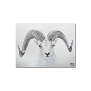 Set De Table Vinyle Mouflon