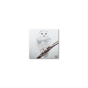 Sous-Verres Vinyle Chouette x 6