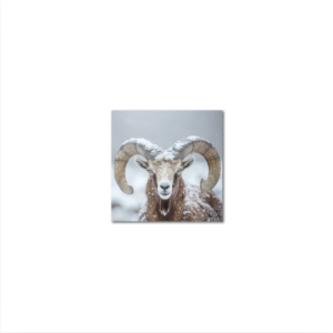 Sous-Verres Vinyle Mouflon x 6