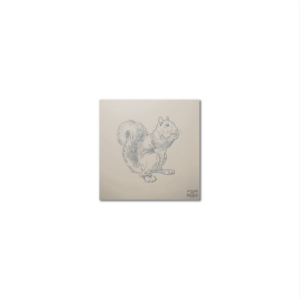 Sous-Verres Vinyle Ecureuil x 6
