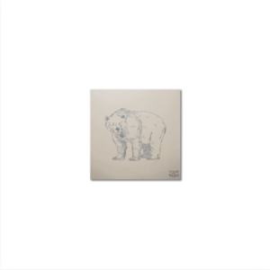 Sous-Verres Vinyle Ours x 6