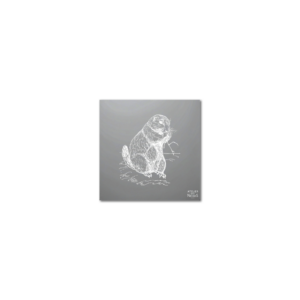 Sous-Verres Vinyle Marmotte x 6