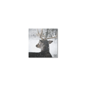 Sous-Verres Vinyle Cerf Dos x 6