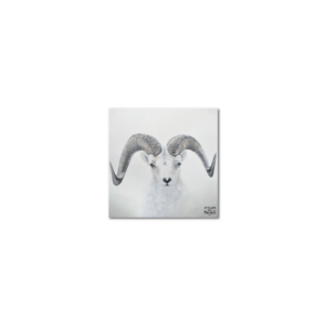 Sous-Verres Vinyle Mouflon x 6