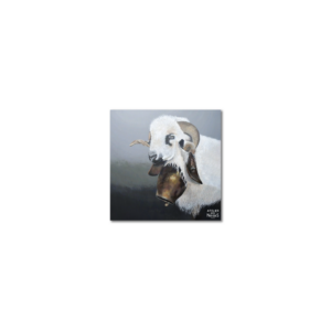 Sous-Verres Vinyle Mouton Devoluy x 6