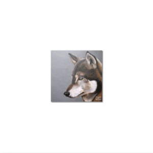 Sous-Verres Vinyle Loup x 6