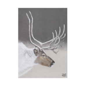 Toile Velours Renne Nature