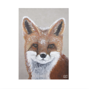 Toile Velours Renard Face