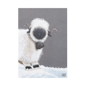 Toile Velours Mouton