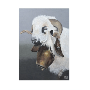 Toile Velours Mouton Devoluy