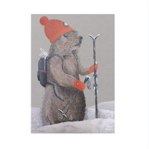 Toile Velours Marmotte Rando