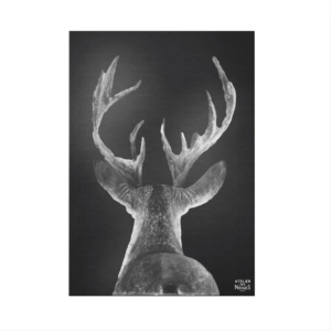 Toile Velours Cerf Dos Tradi B&W