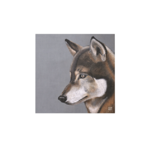 Toile Velours Loup