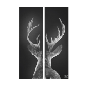Toile Velours Duo Cerf Dos Tradi B&W