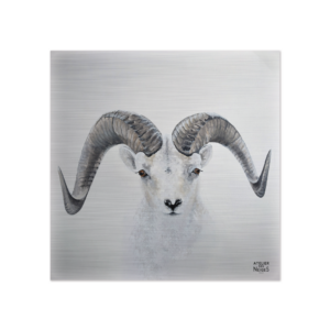 Crédence De Cuisine Aluminium Mouflon