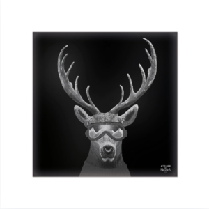 Crédence De Cuisine Aluminium Cerf Lunettes B&W