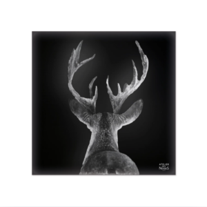 Crédence De Cuisine Aluminium Cerf Dos Tradi B&W